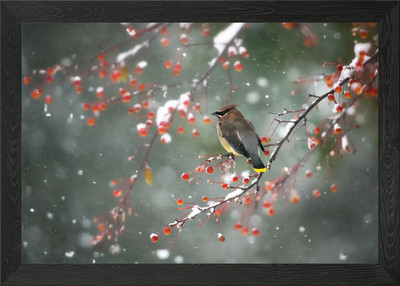 First Snow Framed Wall Art Poster Canvas Print Picture
