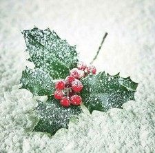 2 X Frozen Ilex Single Paper Napkins - Ideal for Art Decoupage 106