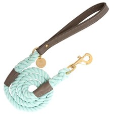 Mint Green rope leash, great for all dogs- Small