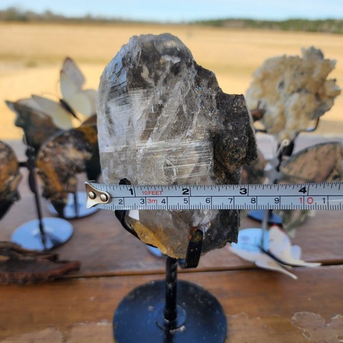 Seltener schwarzer Rutil Hymalaya Quarz - Bild 8 von 8