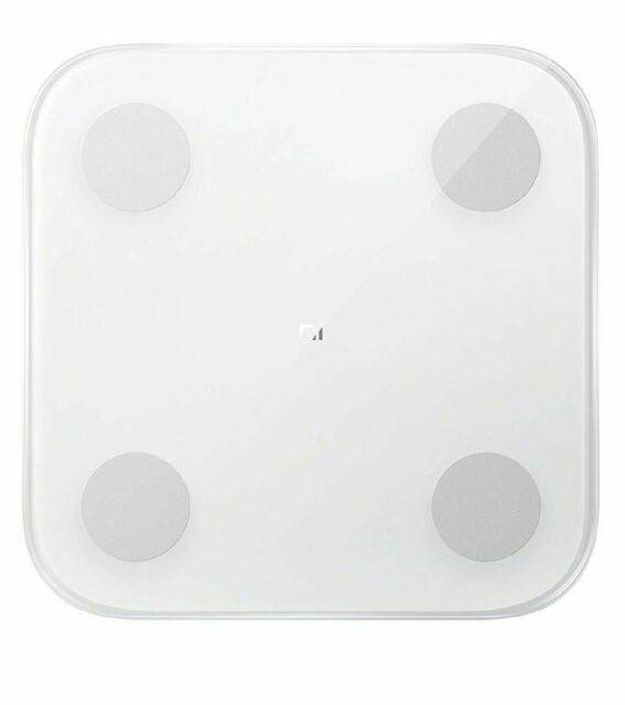 mi fit composition scale 2