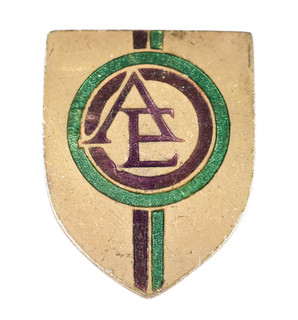 Vintage Old Unidentified AE 'Suffragette Colours' Org Club Society Enamel Badge