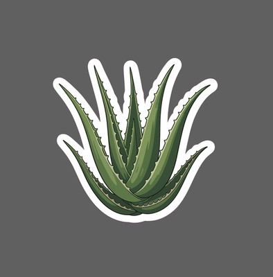 Aloe Vera Sticker Plant Succulent Medicine House Plant Gift Waterproof NEW