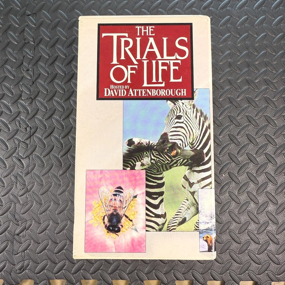 Time Life David Attenborough's The Trials of Life 12-VHS Box Set - 1992 (NEW) - Image 4 of 4