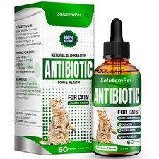 Cat Antibiotic for Infections, UTIs, Respiratory Moments, Cold,  Allergies ...