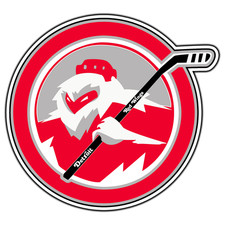 Detroit Red Wings Goalie Logo #16 Hockey Sticker Waterproof Vinyl Decal Die-Cut