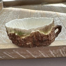 Reptile Water Food Bowl Resin Medium 5” Log Tree Stump