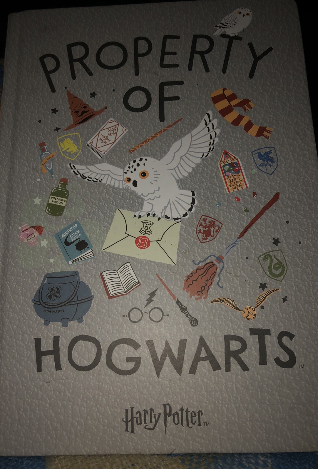 HARRY POTTER PROPERTY OF HOGWARTS A5 NOTEBOOK HEDWIG BRAND NEW