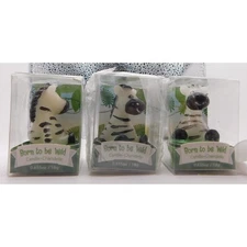 Born To Be Wild Zebra Candle Kate Aspen Set of 3 New