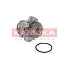 Pompe à eau Mg F