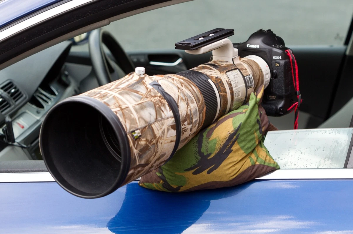 Discover more than 154 bean bag for wildlife photography latest