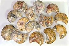 Wholesale Lot 2 Lbs Natural Crazy Lace Agate Moon Crystal Healing Energy