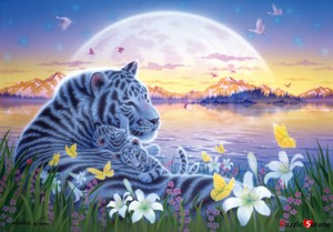 Jigsaw-puzzle-Mysterious-island-the-white-tiger-family-38-52-cm-500-pieces-TP0