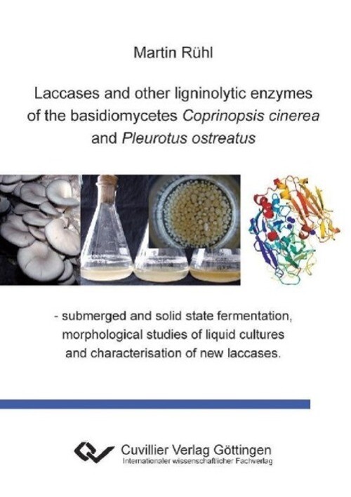 Laccases And Other Ligninolytic Enzymes Of The Basidiomycetes