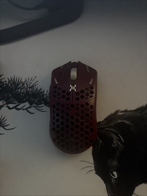 Final Mouse Scream Prophecy Ulx (no Dongle Included )