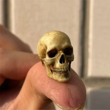 Faux Skeleton Bone Model Lizard Pet Cabinet Decoration Halloween Home Decor Mini