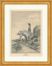 Liuti da sera gregge di pecore roccia bambina Stefano Bruzzi Italia incisione su legno E 20806