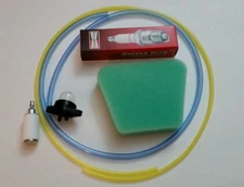 Chainsaw tune up maintenance kit Poulan Woodshark WildThing Craftsman & more