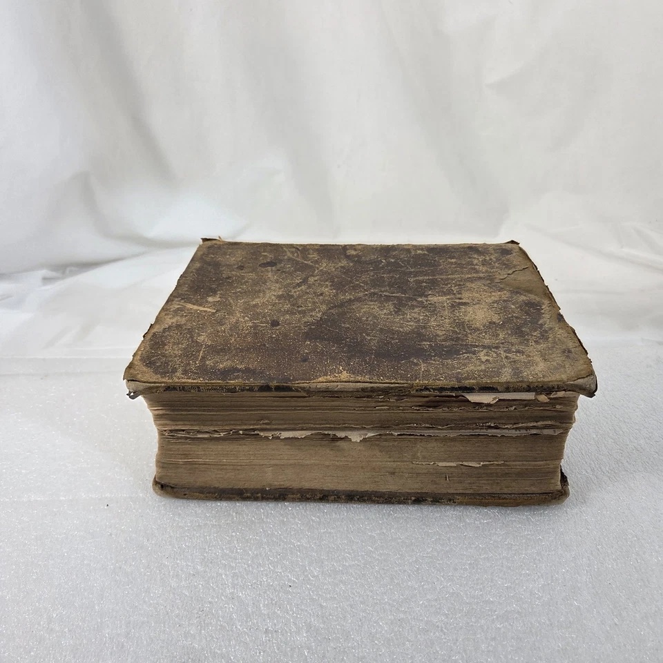 1858 Noah Webster Dictionary Merriam Springfield Leather Antique Pre-Civil War - Image 4 of 4