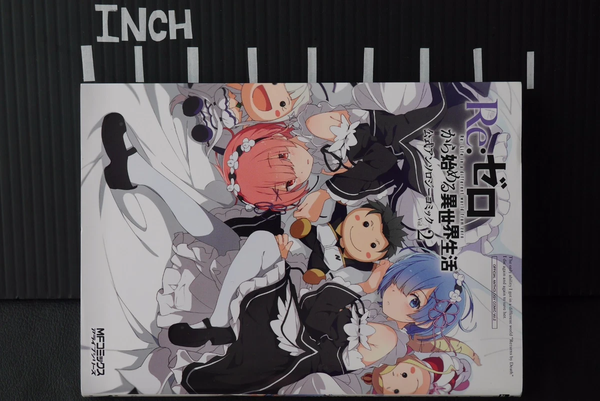 Re:ZERO -Starting Life in Another World-, Vol. 11 (light novel) (Re:ZERO  -Starting Life in Another World-, 11)