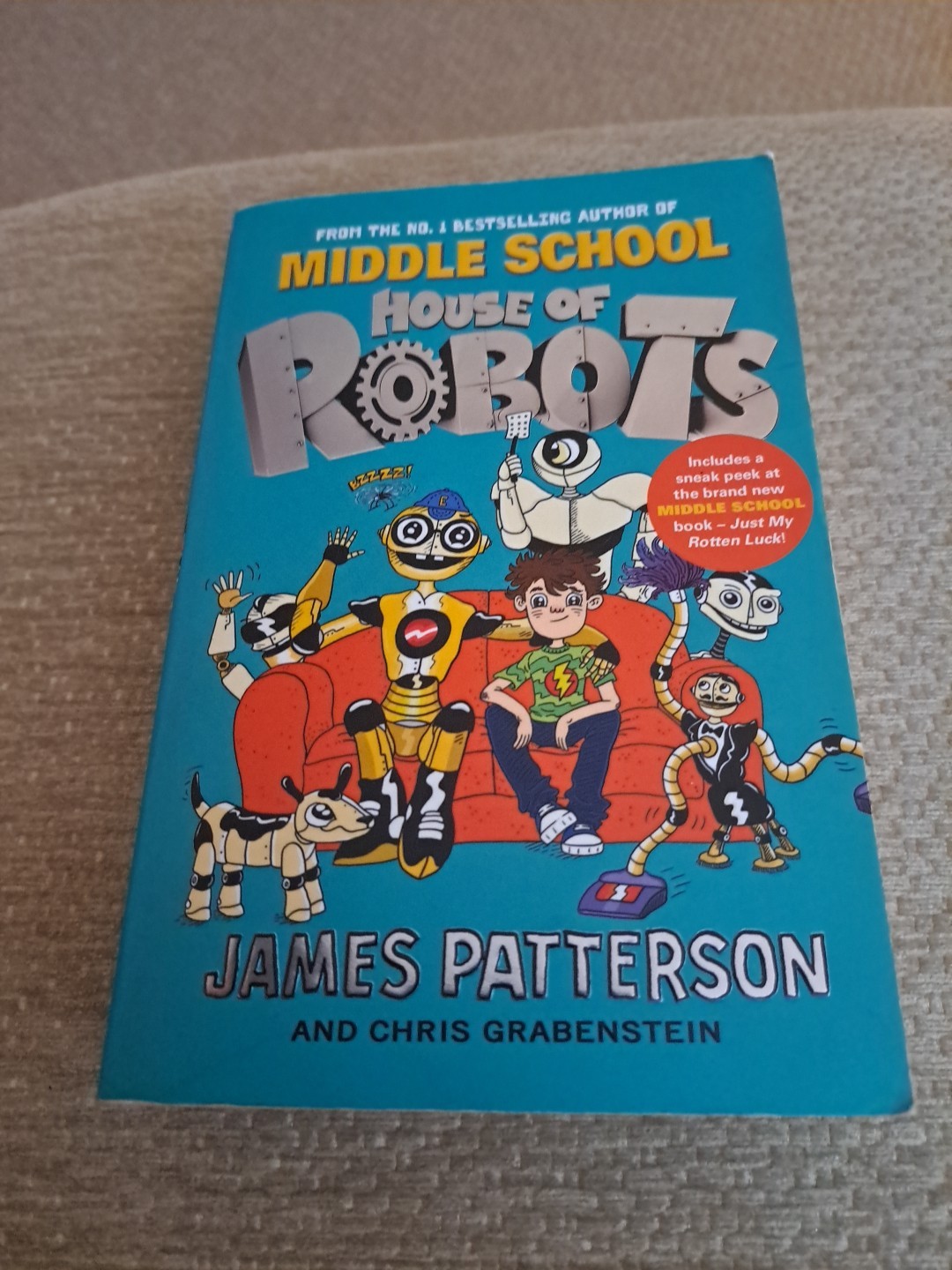 MIDDLE SCHOOL "" HOUSE OF ROBOTS""
