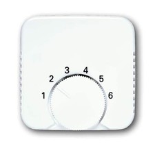 BUSCH-JAEGER Zentralscheibe 1794-212,-214,-84,-914-885 NEUwertig Top Qualität