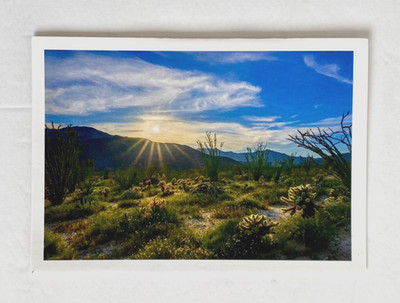New 2026 California State Parks Foundation Note Card Anza Borrego Desert Park