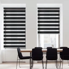 Zebra Dual Roller Shade 21.7x59 Black Light Filtering Day Night Window Blind