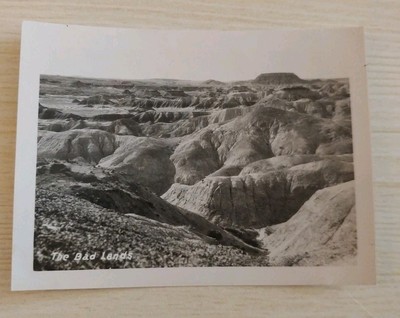 Vintage Postcard The Bad Lands South Dakota SD  White Border  Landscape  Scenery