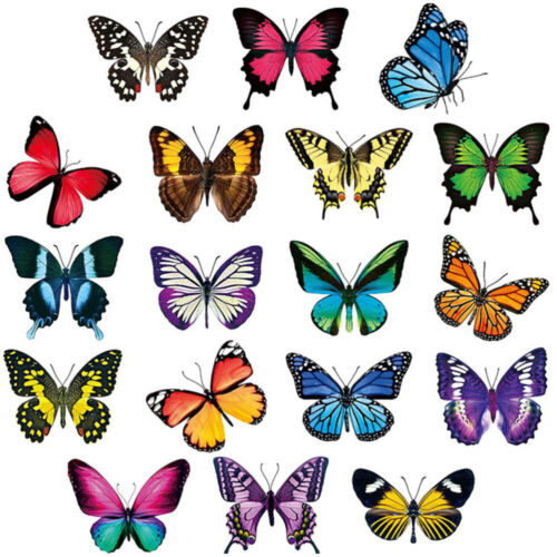 Vogelalarm Haftet Buntglasfenster Schmetterlingsapplikation - Bild 1 von 6