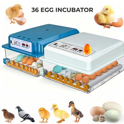 36 Egg Incubator with Automatic Egg Turning Egg Hatching Temp Humidity Control