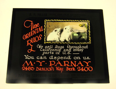 Armenian Oriental Rug Store Theatre Magic Lantern Slide Berkeley CA 1920s 24 Cat