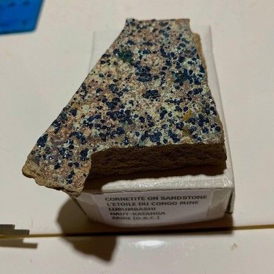 KORNETIT AUF SANDSTEIN MATRIX: L'TOILE DU CONGO MINE, ZAIRE [D.R.C.] 59g MF144