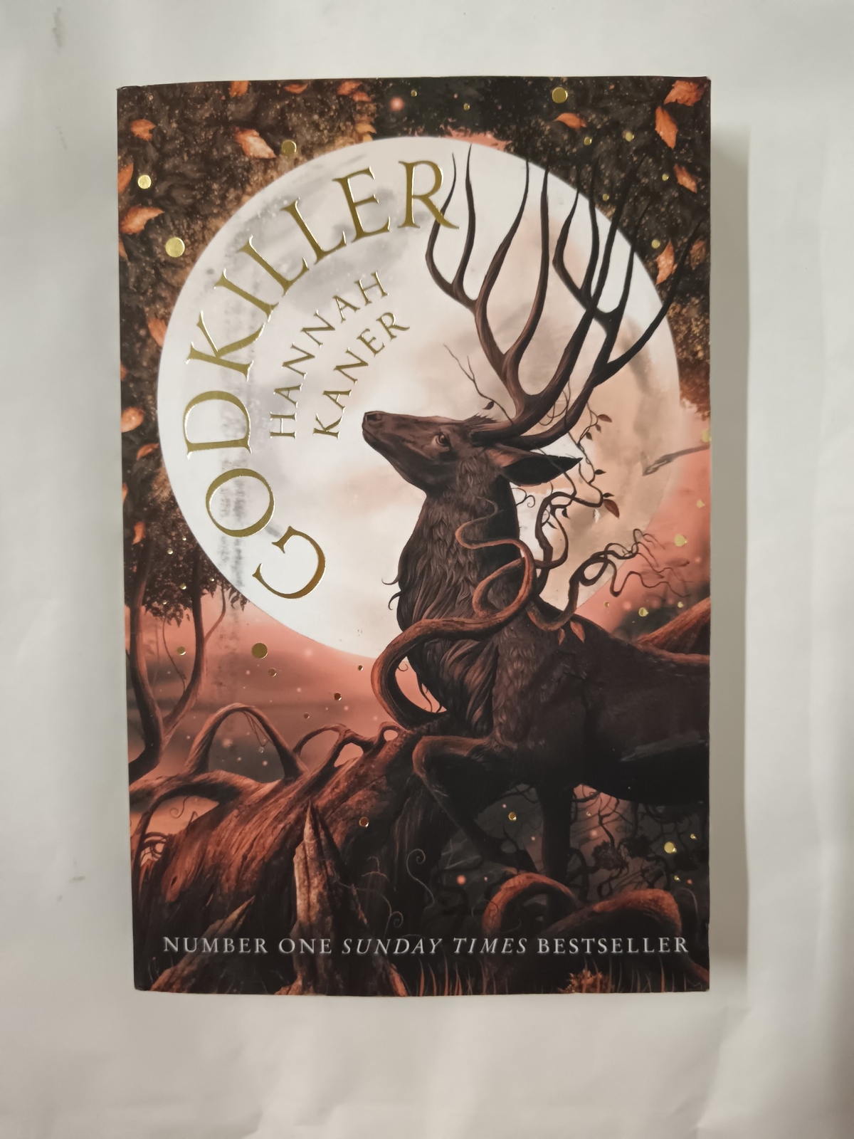 Godkiller: The no. 1 SUNDAY TIMES bestseller