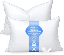 Goose Feather Pillow Queen Size Pack of 2 - down Hotel Bed Pillows for Sleeping,