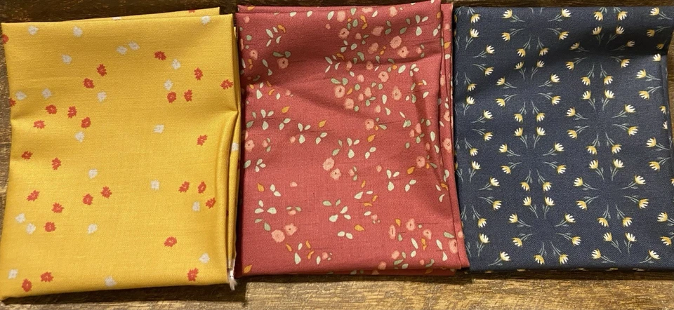 Feels Like Home By Amber Johnson For Riley Blake Designs.  Bundle Of 11 FQ - Image 4 of 4