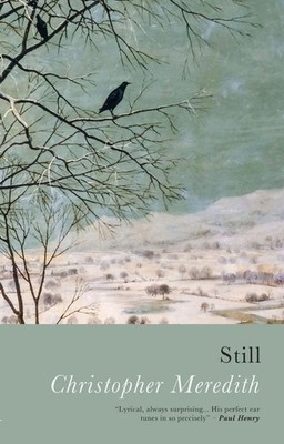 Christopher Meredith | Still | Taschenbuch | Englisch (2021) | Seren Books