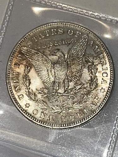 1881 Morgan Dollar- Choice Gem Brilliant Uncirculated -  VAM 1C1