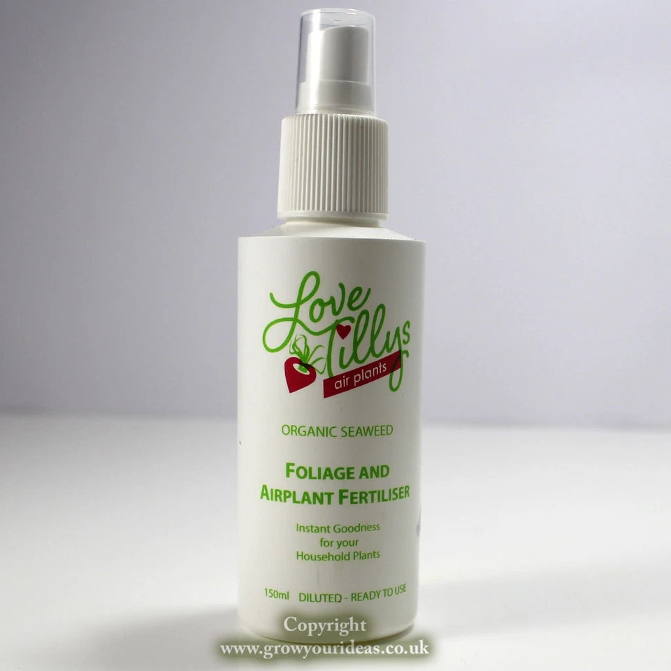 Air Plant Tillandsia organic Fertiliser spray food 150ml | Love Tillys