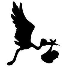 Stork Carrying Baby Vinyl Decal Sticker Art Wall Home Various Colours