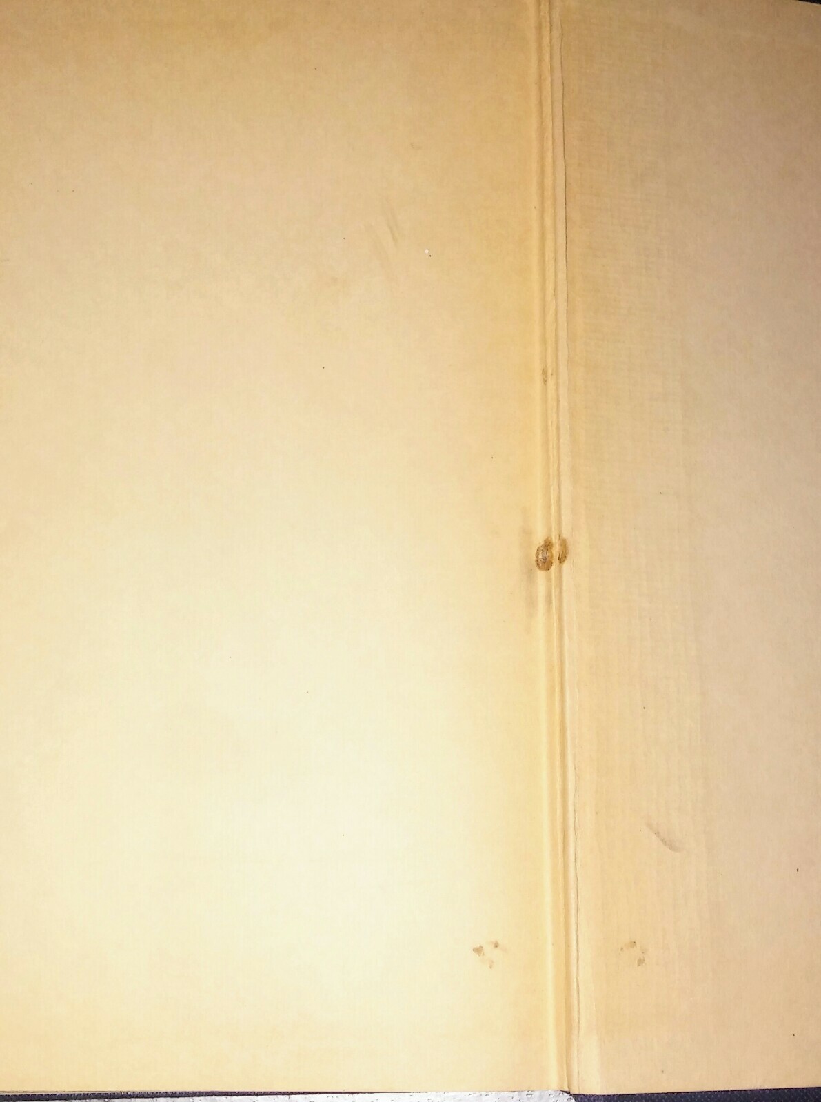 Bild 3 von 12