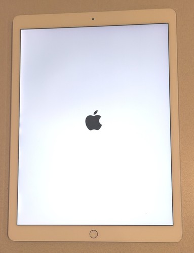 Apple iPad Pro 2nd Gen - A1670 - 256GB WiFi 12.9" Silver - Moderate, LCD Flicker - Afbeelding 4 van 5