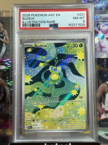 Budew graded PSA 8 for sale on eBay