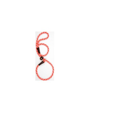 MENDOTA Slip Lead for Dogs Taffy 3/8 x 4' 