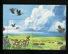 Postcard Stamp Design Great Plains Prairie pronghorn bison geese