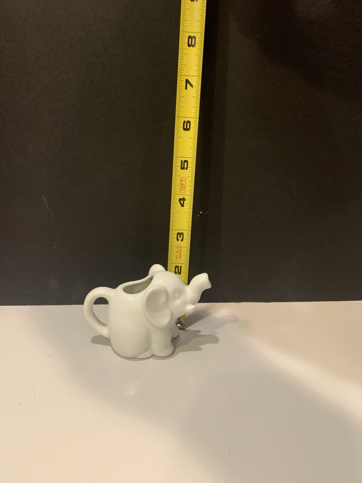 Picture 14 of 17
