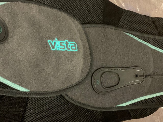 vista back brace