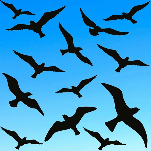 13x bird sticker bird protection sticker birds window sticker bird protection bird
