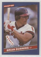Brian Downing