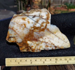 Polka Dot Agate Slab -Old Stock
